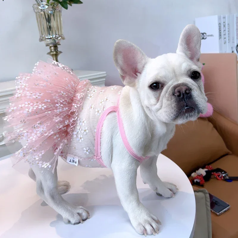Summer Clothing In French - Gaun Pug Musim Panas Pakaian Bulldog