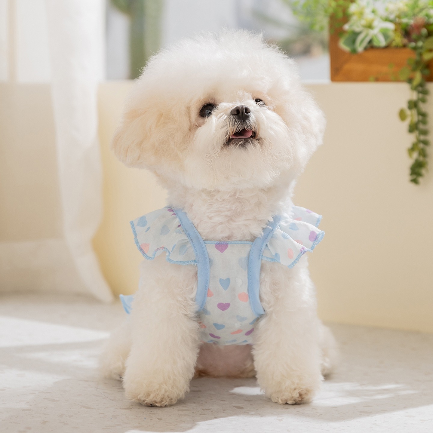 Soft Summer Yellow Clothing - Pakaian Anjing Warna Kuning, Gaun Hewan