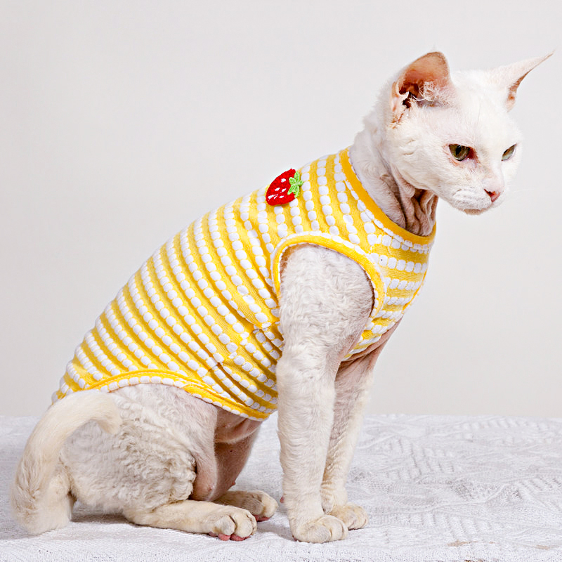 Kaos Musim Panas untuk Pakaian - Soft Summer Yellow Clothing ulasan dan harga