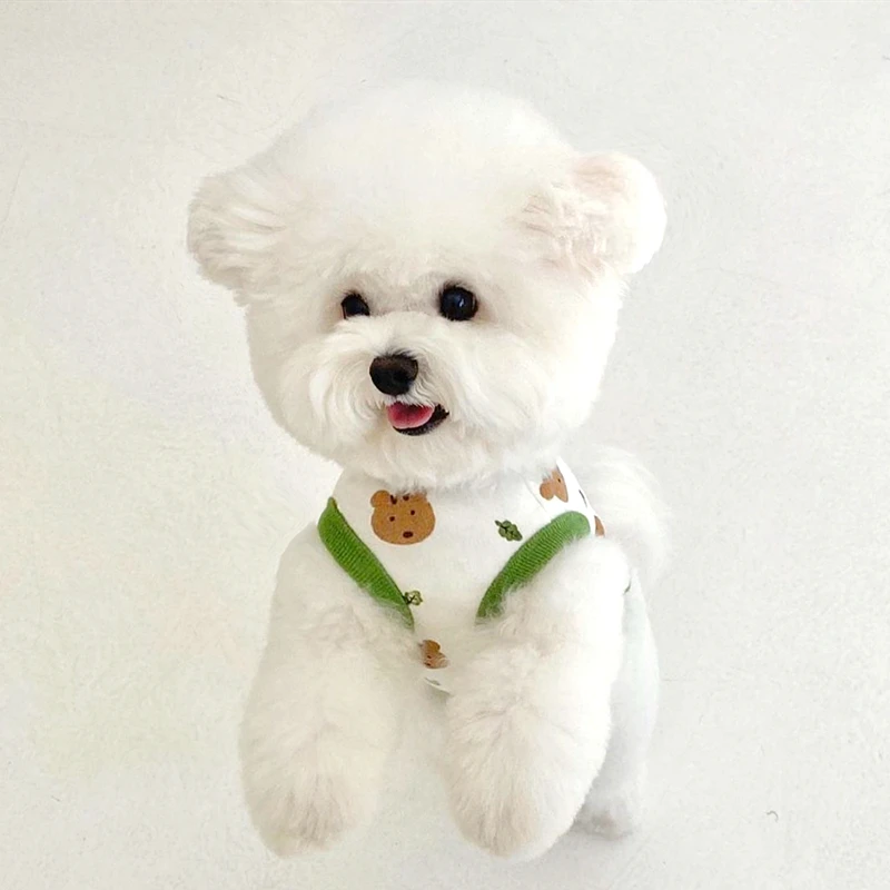 Pakaian anjing peliharaan anak - Xl Summer Clothing ulasan dan harga