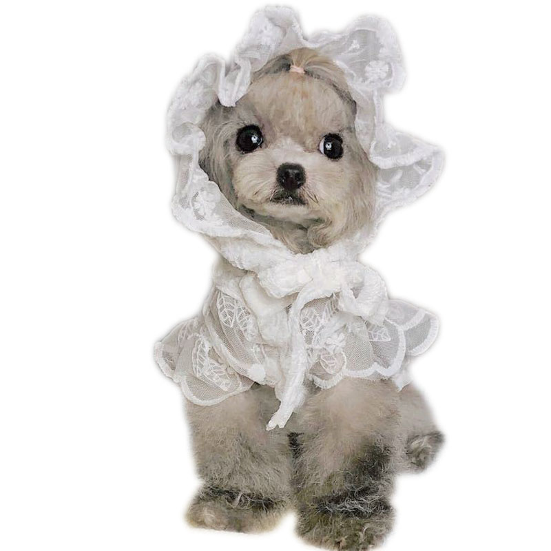 Gaun Penyiangan Anjing Putri R - Xl Summer Clothing ulasan dan harga